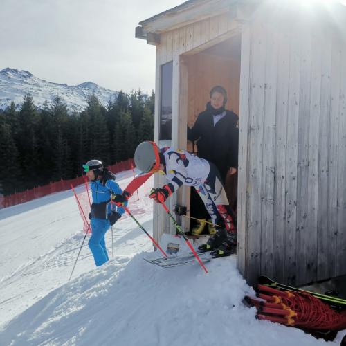 Schulolympics Ski alpin